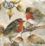 IHR Red robins duett